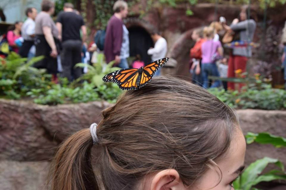 Freizeitpark Kinder Schweiz